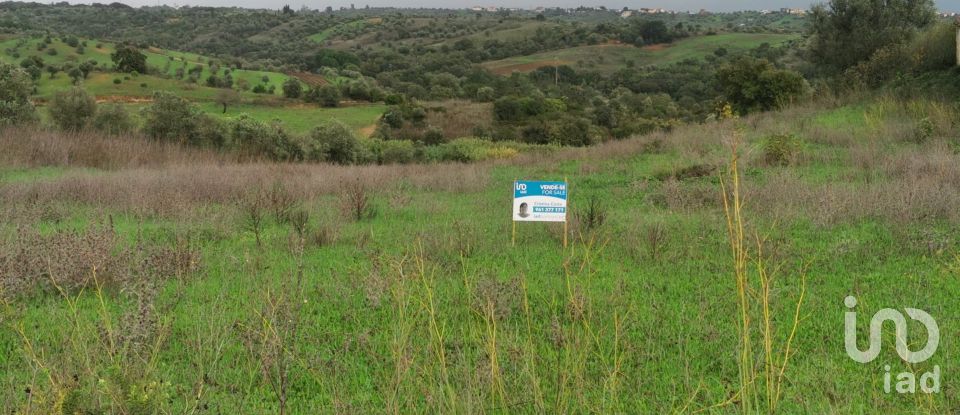 Terreno em Brogueira, Parceiros de Igreja e Alcorochel de 10 405 m²