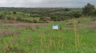 Land in Brogueira, Parceiros de Igreja e Alcorochel of 10,405 m²