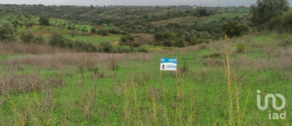 Terreno em Brogueira, Parceiros de Igreja e Alcorochel de 10 405 m²