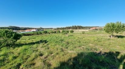 Terreno em A dos Cunhados e Maceira de 3 900 m²