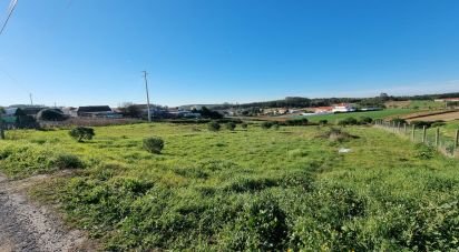 Terreno em A dos Cunhados e Maceira de 3 900 m²