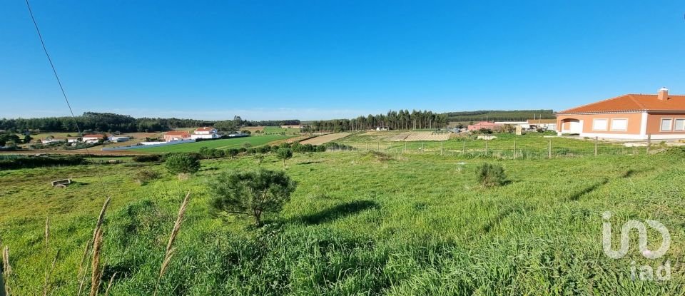 Terreno em A dos Cunhados e Maceira de 3 900 m²