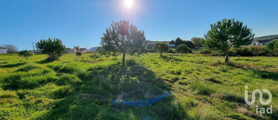 Terreno em A dos Cunhados e Maceira de 3 900 m²