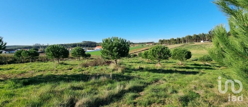 Land in A dos Cunhados e Maceira of 3,900 m²