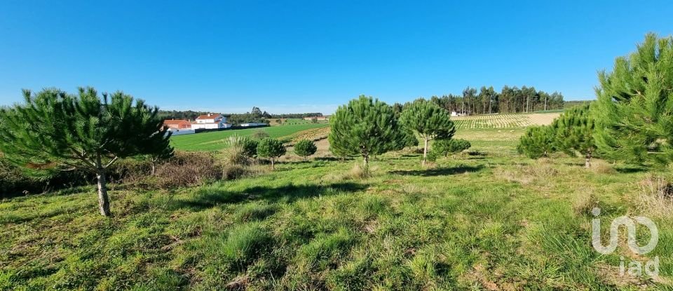 Terreno em A dos Cunhados e Maceira de 3 900 m²