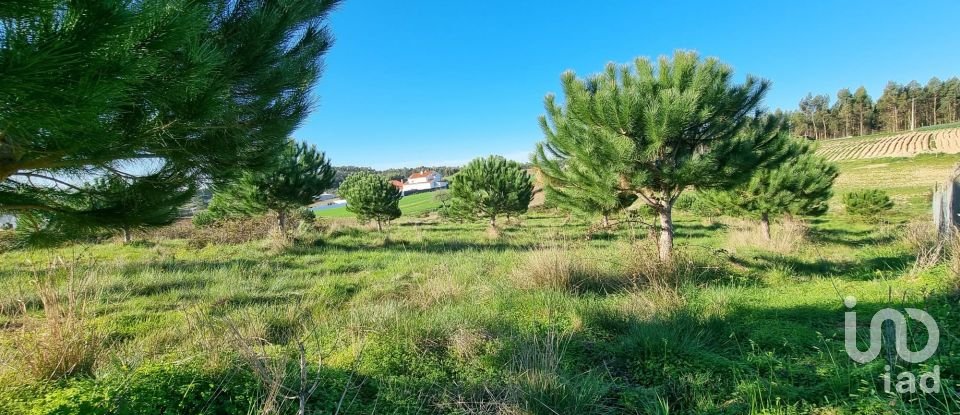 Terreno em A dos Cunhados e Maceira de 3 900 m²