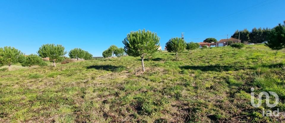 Terreno em A dos Cunhados e Maceira de 3 900 m²