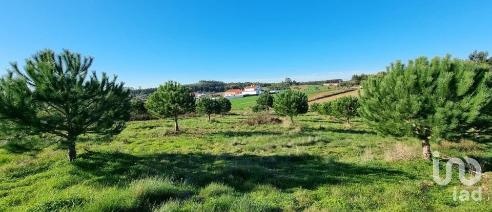 Terreno em A dos Cunhados e Maceira de 3 900 m²