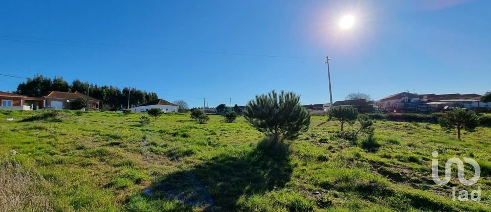 Terreno em A dos Cunhados e Maceira de 3 900 m²