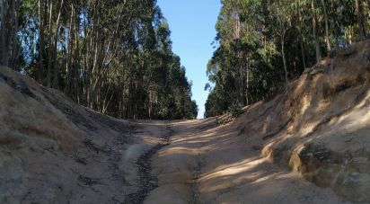 Land in A dos Cunhados e Maceira of 59,568 m²