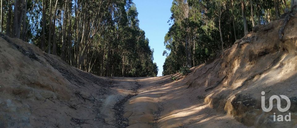 Terrain à A dos Cunhados e Maceira de 59 568 m²