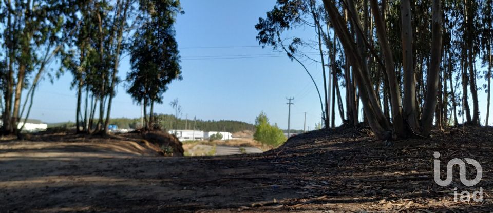 Terrain à A dos Cunhados e Maceira de 59 568 m²