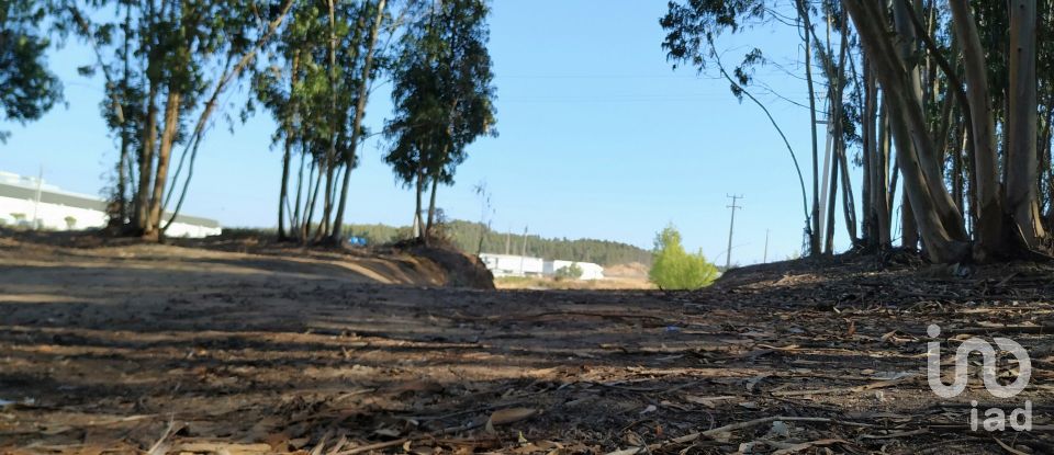 Terrain à A dos Cunhados e Maceira de 59 568 m²