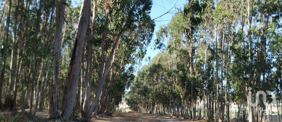 Terrain à A dos Cunhados e Maceira de 59 568 m²