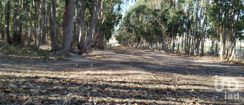 Terrain à A dos Cunhados e Maceira de 59 568 m²