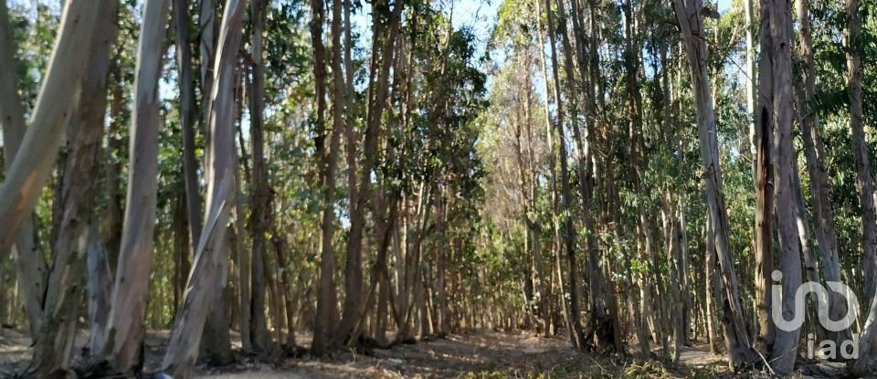 Terrain à A dos Cunhados e Maceira de 59 568 m²