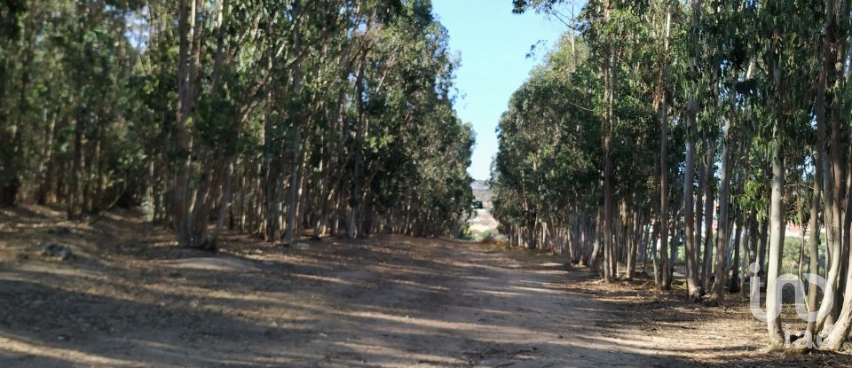 Terrain à A dos Cunhados e Maceira de 59 568 m²