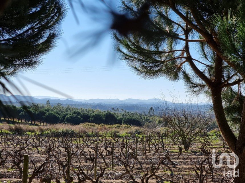 Terreno para construção em Campelos e Outeiro da Cabeça de 3 640 m²