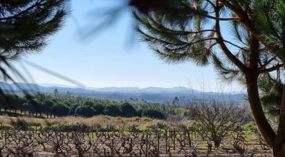 Building land in Campelos e Outeiro da Cabeça of 3,640 m²