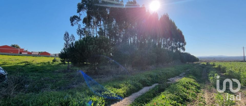 Terreno para construção em Campelos e Outeiro da Cabeça de 3 640 m²