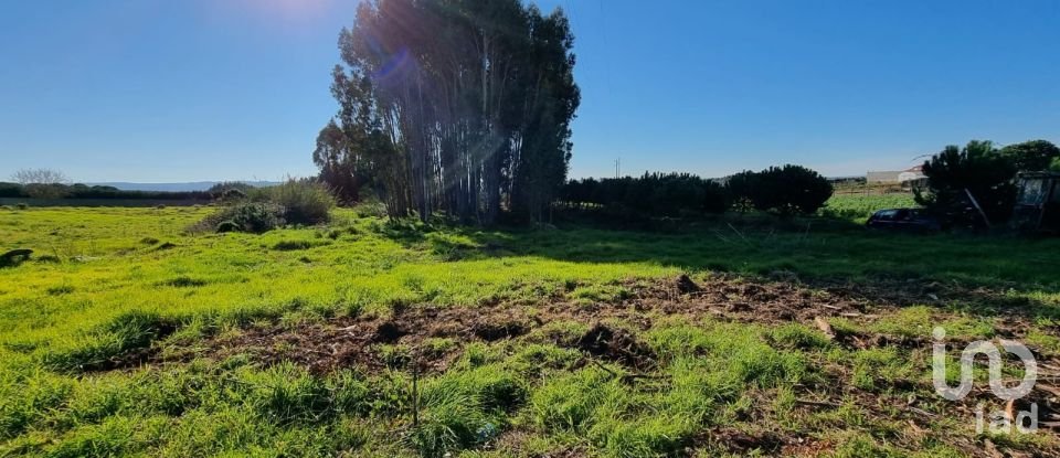 Terreno para construção em Campelos e Outeiro da Cabeça de 3 640 m²