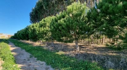 Terrain à bâtir à Campelos e Outeiro da Cabeça de 3 640 m²