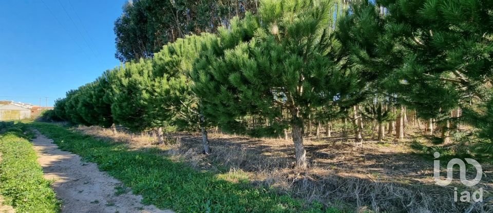 Terreno para construção em Campelos e Outeiro da Cabeça de 3 640 m²