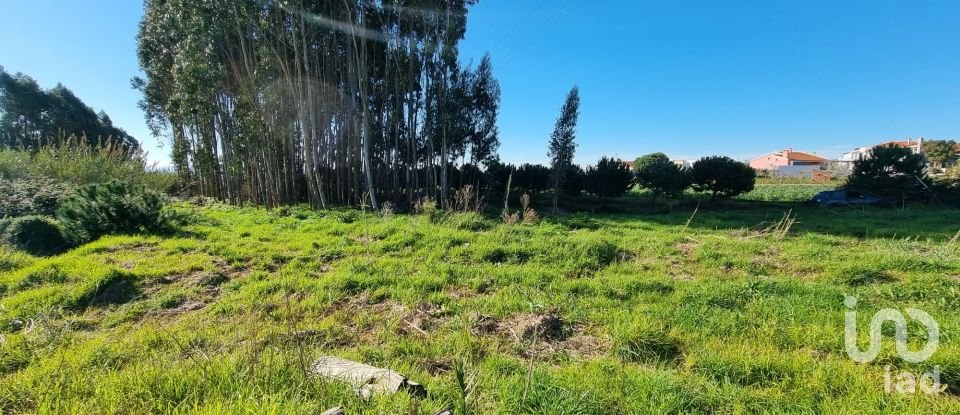 Terreno para construção em Campelos e Outeiro da Cabeça de 3 640 m²