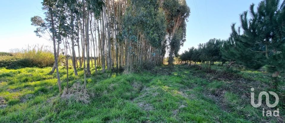 Terreno para construção em Campelos e Outeiro da Cabeça de 3 640 m²