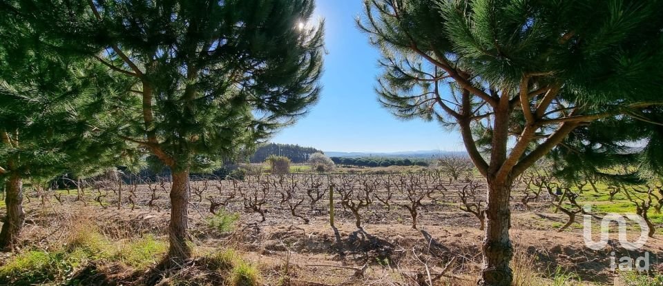 Terreno para construção em Campelos e Outeiro da Cabeça de 3 640 m²