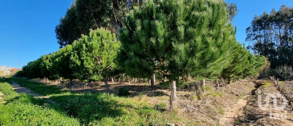 Terreno para construção em Campelos e Outeiro da Cabeça de 3 640 m²