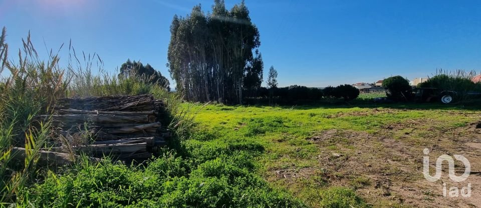 Terreno para construção em Campelos e Outeiro da Cabeça de 3 640 m²