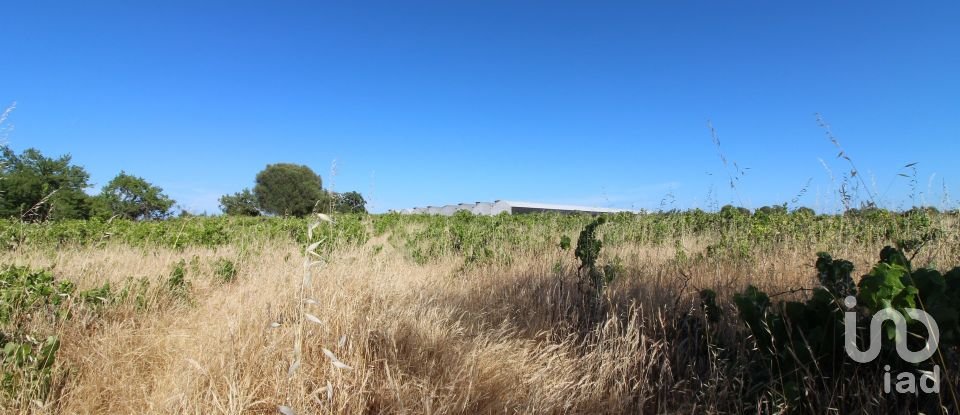 Terreno Agrícola em Silves de 5 920 m²