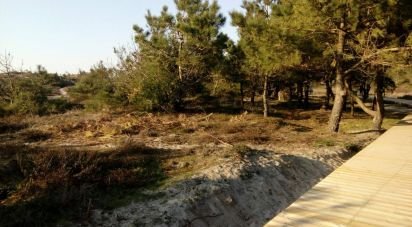 Terreno Agrícola em Belinho e Mar de 1 260 m²