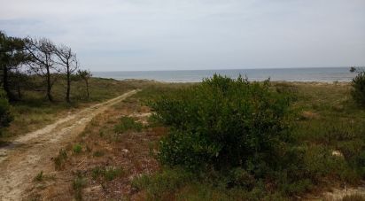 Agricultural land in Belinho e Mar of 1,260 m²