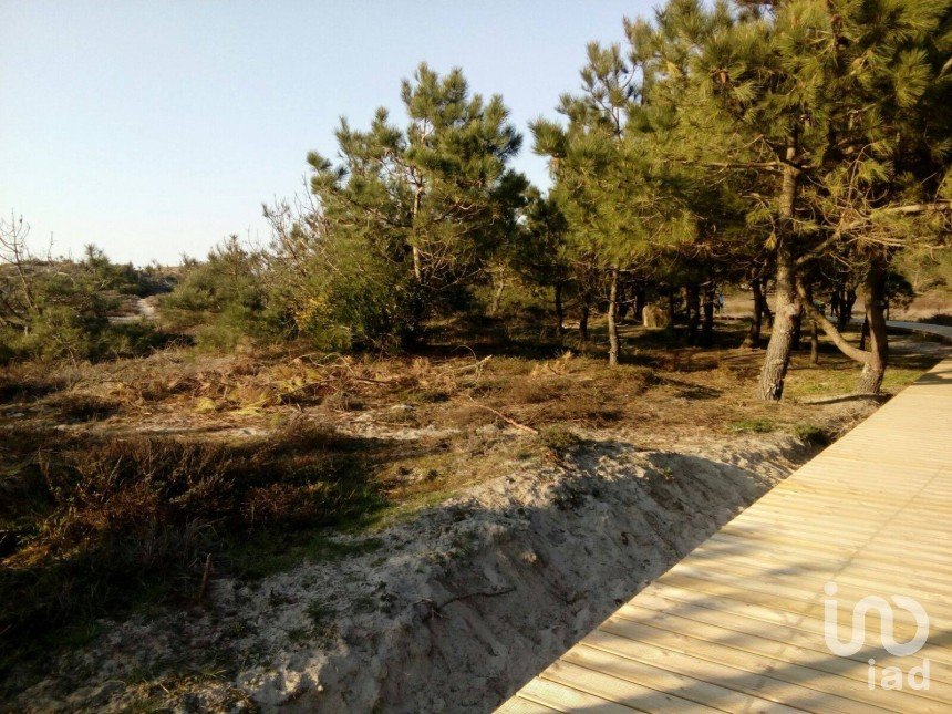 Terreno Agrícola em Belinho e Mar de 2 870 m²