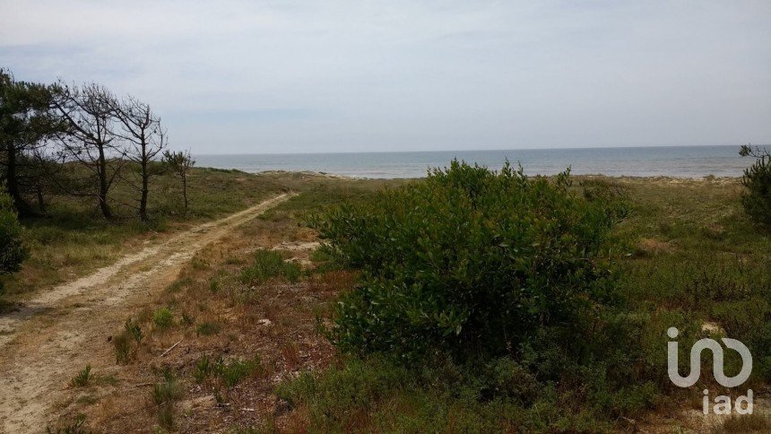 Terreno Agrícola em Belinho e Mar de 2 870 m²