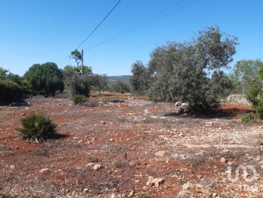 Terreno Agrícola em Alte de 9 740 m²