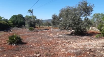 Terrain agricole à Alte de 9 740 m²