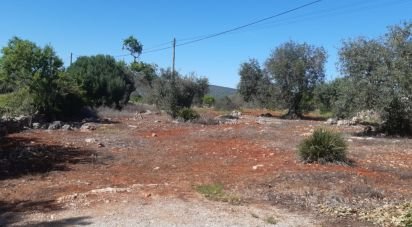 Terrain agricole à Alte de 9 740 m²