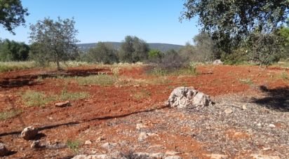 Terreno Agrícola em Alte de 9 740 m²