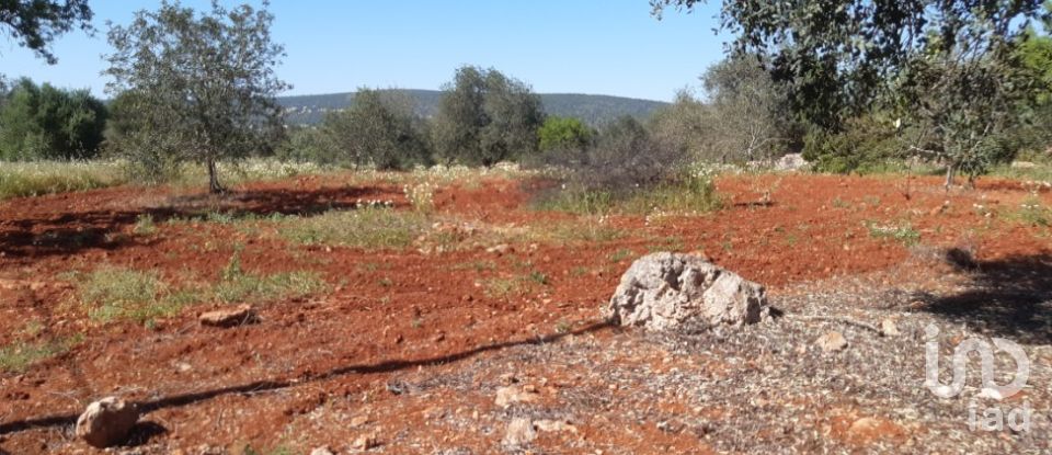 Terrain agricole à Alte de 9 740 m²