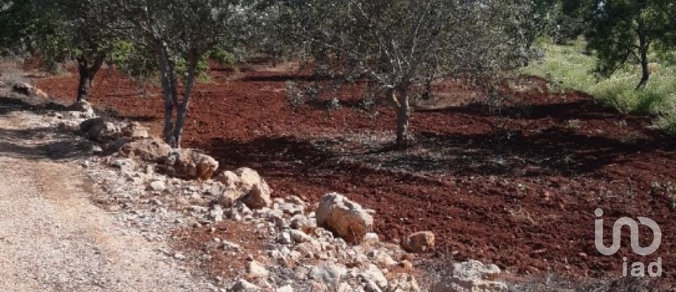 Terreno Agrícola em Alte de 9 740 m²