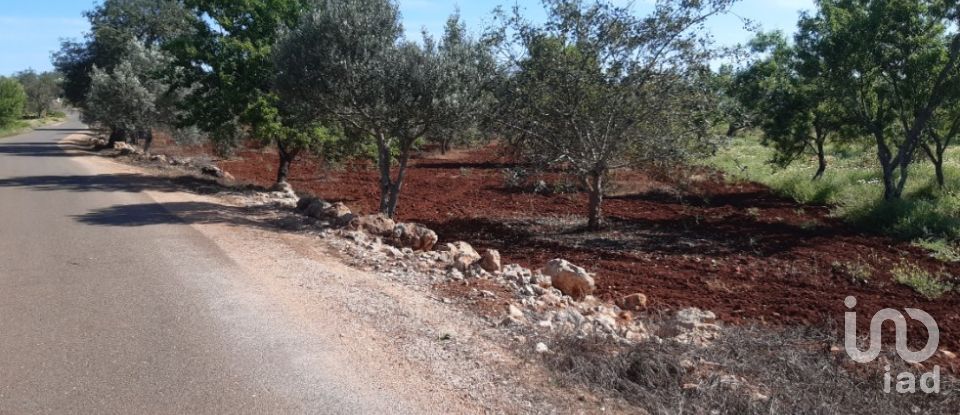 Terreno Agrícola em Alte de 9 740 m²