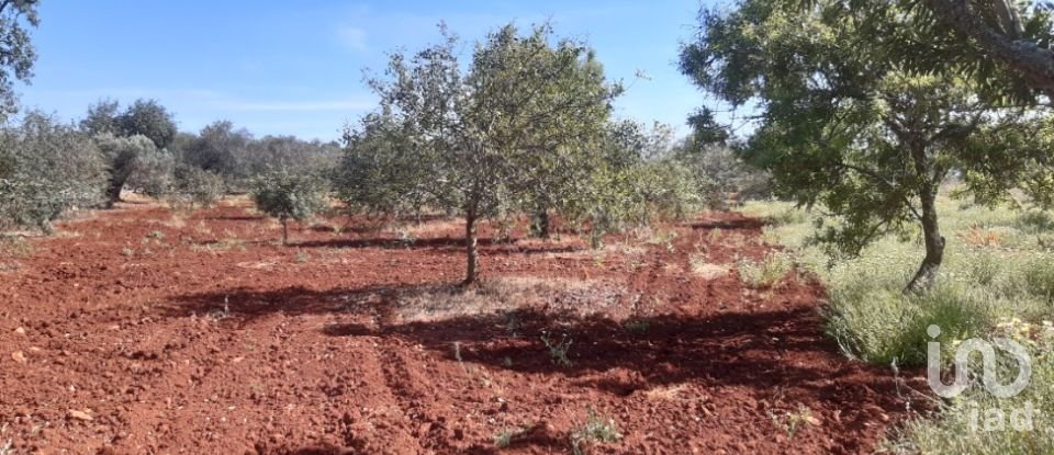 Terrain agricole à Alte de 9 740 m²