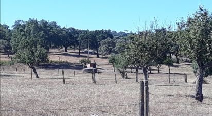 Ferme T5 à Fortios de 267 m²