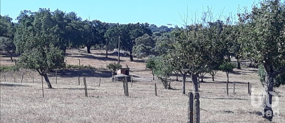 Ferme T5 à Fortios de 267 m²