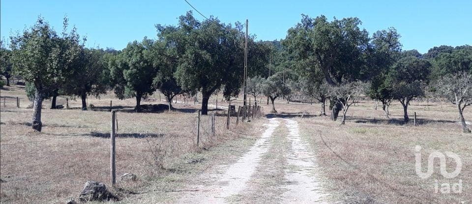 Ferme T5 à Fortios de 267 m²