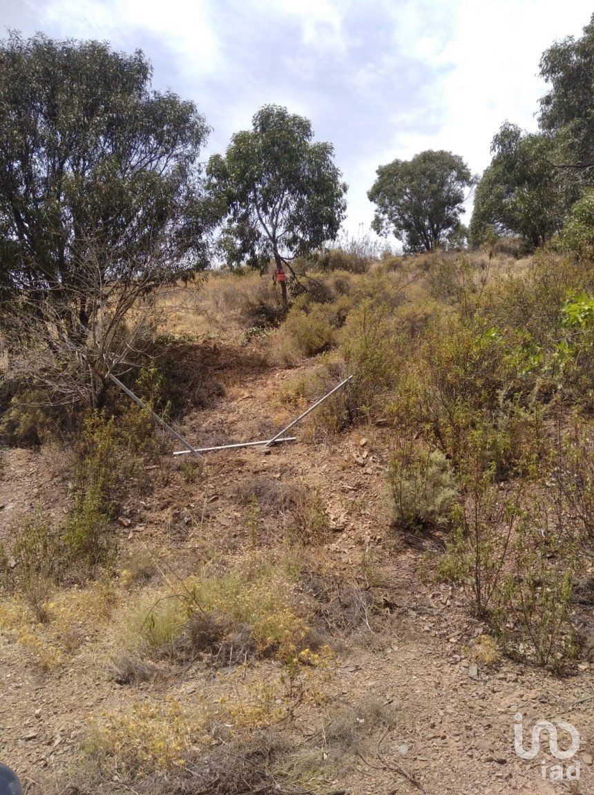 Terreno em Conceição e Cabanas de Tavira de 1 700 m²