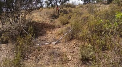 Terreno em Conceição e Cabanas de Tavira de 1 700 m²